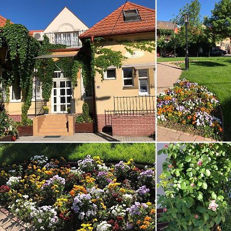סולנוק Tulipan Villa Panzio מראה חיצוני תמונה