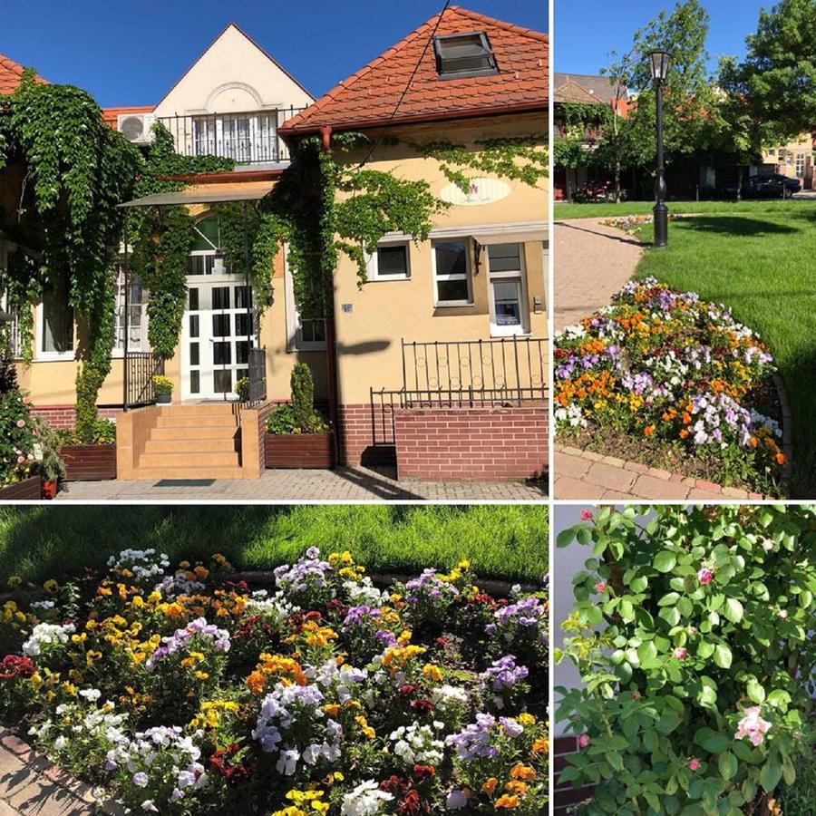 סולנוק Tulipan Villa Panzio מראה חיצוני תמונה